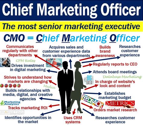 We make the hiring process one step easier by giving you a template to simply post to our site. What is a Chief Marketing Officer (CMO)? - Definition and ...