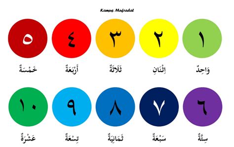 Pola garis lengkung berkembang menjadi pola lengkung ke depan, pola lengkung ke belakang, pola lingkaran, dan pola angka delapan. Angka 2 Dalam Bahasa Arab Adalah - Tugas Sekolahku