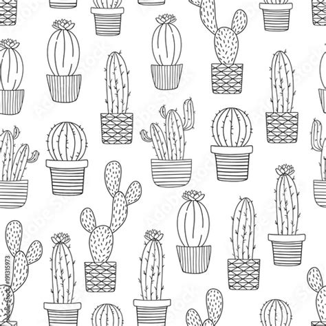 Albums 105 Pictures Black And White Cactus Wallpaper Full Hd 2k 4k