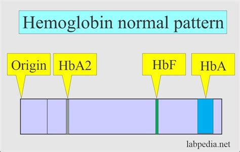 Hemoglobin Part 2 Hemoglobin Electrophoresis Hb Electrophoresis