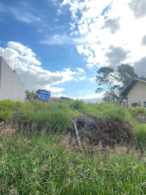 Terreno Plano E Mais Elevado