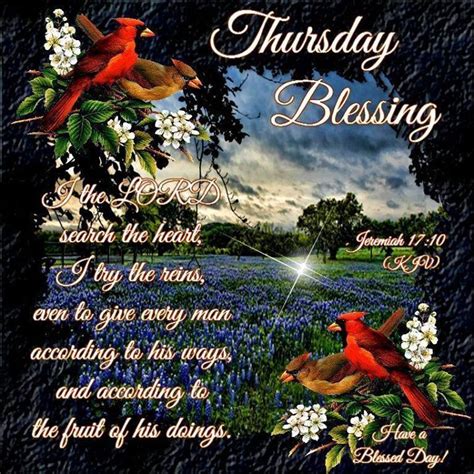 All of us have favorite quotes, sayings, verses, metaphors, koans, that we always mark in our books or try to remember when we. Thursday Blessings Have A Blessed Day Pictures, Photos, and Images for Facebook, Tumblr ...