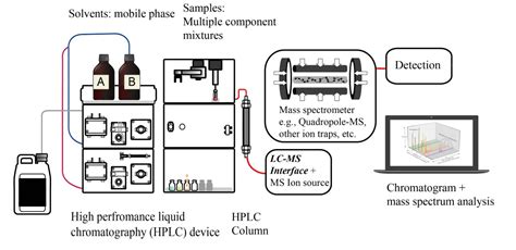 Liquid Chromatography Mass Spectrometry Lc Ms Ms Analysis Northeast Biolab