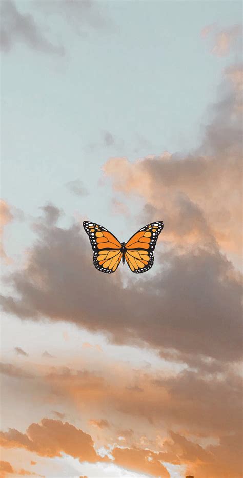 Aesthetic in 2020 | Butterfly wallpaper iphone, Iphone ...