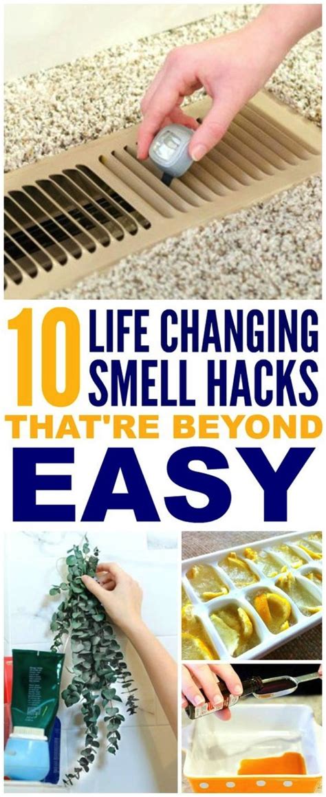 Using aromatherapy, or smelling certain scents, may reduce the incidence of nausea. 10 Brilliant Ways to Make Your Home Smell Amazing | House ...