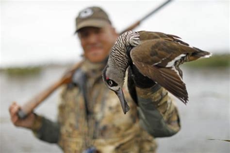 Australia Duck Hunting Ramsey Russells