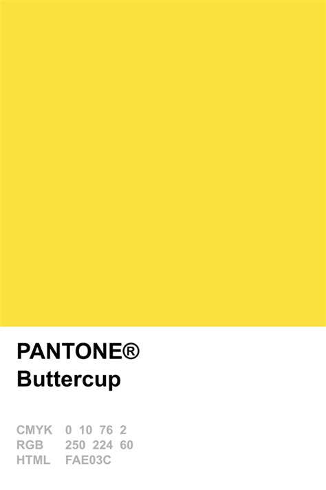 Always confirm your colour choice with dulux colour chips or sample pots. Pantone 2016 Buttercup | Цветовые палитры, Цвета краски ...