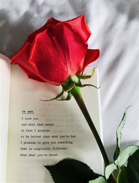 Dinu Rose Quotes Red Roses Quotes Aesthetic Roses Rose For Someone