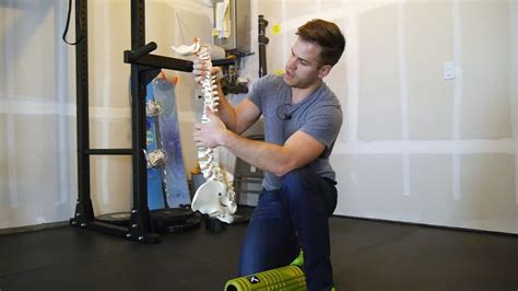 Thoracic Extension Fix The Movement Fix Thoracic Extensions Movement