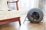Modern Cat Beds Images