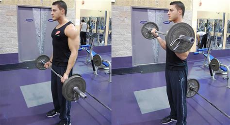 Straight Bar Cable Curl Exercise The Optimal You