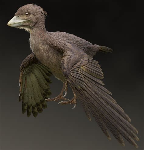 Researchers In Japan Uncover Fossil Of Bird From Early Cretaceous
