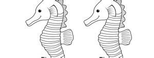seahorse template medium