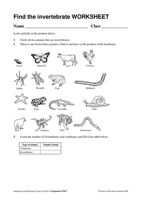 art on Pinterest | School Worksheets, Anemone Wedding Bouquet and