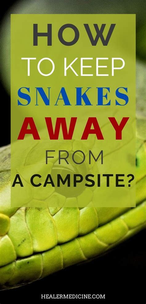 You might find a snake resting between the gaps waiting to cool off. How To Keep Snakes Away From A Campsite? | Keep snakes ...