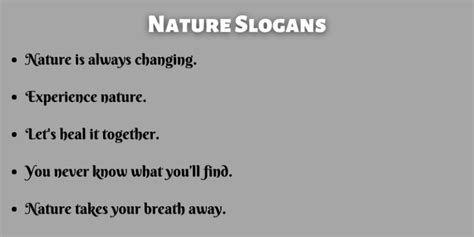 400 Catchy Nature Slogans That You Will Love