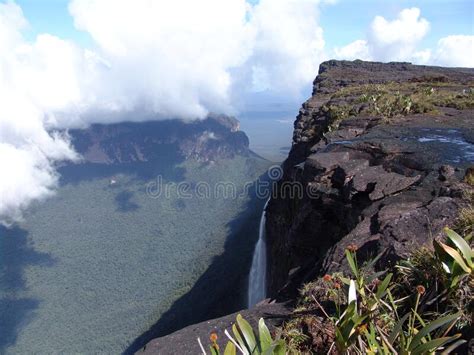 Beautiful View Of Mount Roraima In Southern America Stock Photo Image