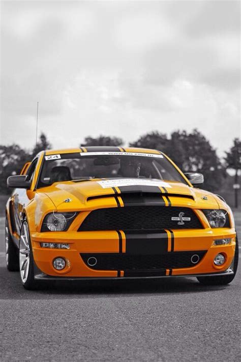 Ford mustang shelby gt500 kr 40th anniversary 2008. 2008 Shelby GT500 Super Snake 427 Edition | Modern muscle ...