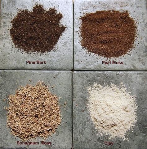 Earth 810 exotic blend organic cactus & succulent potting mix, 8 quart. 40+ Most Popular Bonsai Potting Mix Recipe | Pink Wool