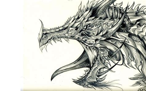 If you're drawing traditionally, you can put a new sheet of paper over the sketch to draw the clean final lines, or use a darker tool to make the sketch less visible. Drawing Pictures Of Dragons at GetDrawings | Free download