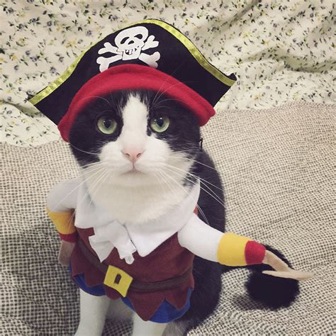 Funny Pet Pirate Corsair Suit Cosplay Costume For Cat