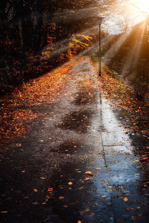 Autumn Sun Rays Sunbeam Appear Over Sidewalk In A Rainy Day Fallen