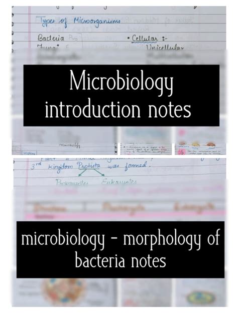 Microbiology Introduction Notes And Morphology Of Bacteria Notes Two In