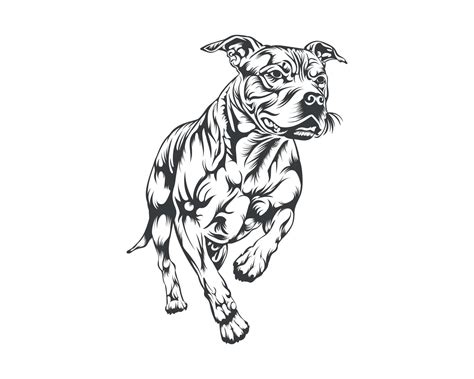 Pitbull Dog Breed Vector Illustration Pitbull Dog Vector On White