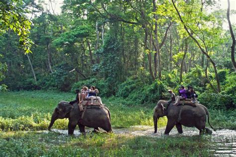 Paseo En Elefante India Mágica