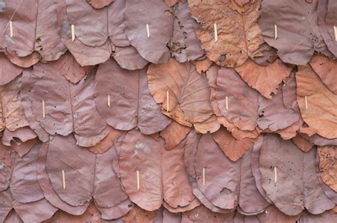 Premium Photo Walls Made Of Teak Leaves Close Up And Texture Of