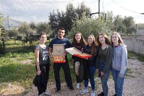 Ερώτημα για τις φετινές εξετάσεις, σύμφωνα με τα «νεα», είναι αν τα γενικά εύκολα θέματα και, επομένως, οι καλύτερες επιδόσεις των υποψηφίων θα ανέβει τόσο. τουρνουά Paintball για μαθητές Α και Β Λυκείου ...