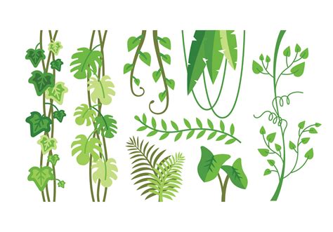 Free plant vector download in ai, svg, eps and cdr. Tropical plants vectors - Download Free Vectors, Clipart ...
