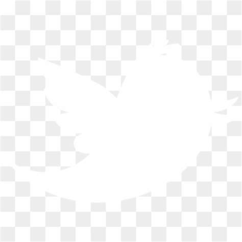 Download High Quality White Twitter Logo Png Transparent Transparent