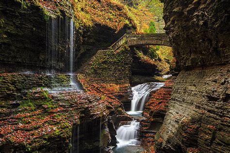 10 Places Around Binghamton To Enjoy The Fall Foliage Blog