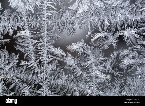 Winter Frost Crystals Forming On Window Stock Photo Alamy