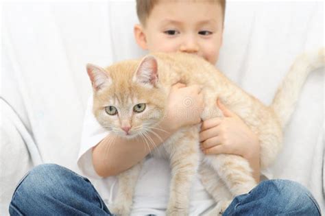 Ginger Cat Wants Escape From The Arms Of Boy Stock Photo Image Of