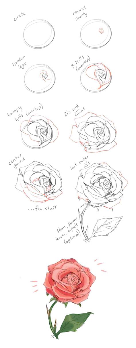 How To Draw A Rose Rhowto