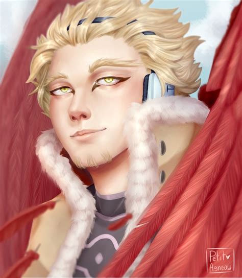 Hawks Fan Art Bnha Fan Art Art Princess Zelda