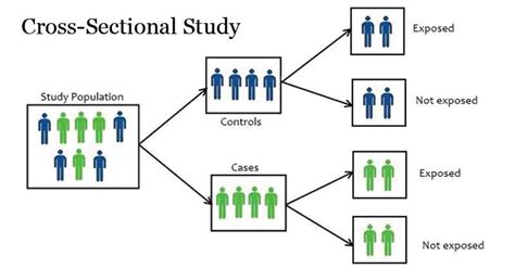 Cross Sectional Study Definition Types Applications Advantages