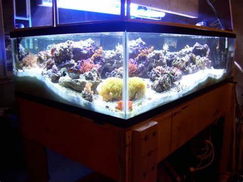 150 Gallon Aquarium 150 Gallon Fish Tank Dimensions