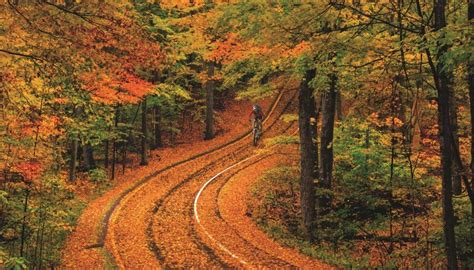 where to see the best fall foliage in michigan american beautiful