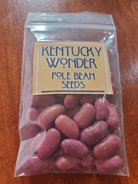 Pole Bean Seeds Kentucky Wonder 25 Seeds U S A Etsy