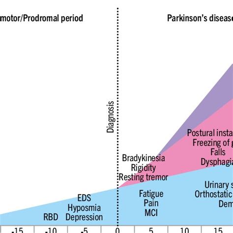 Illustration Of The Progression Of Parkinsons Disease Adapted From