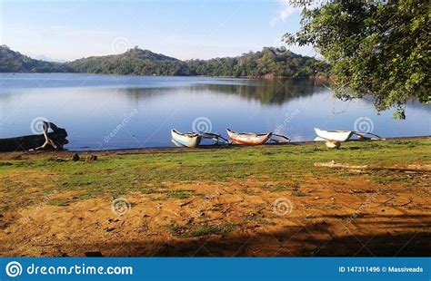 Sorabora Lake Sri Lanka Royalty Free Stock Image