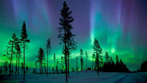 Oft erscheinen sie grün, aber sie können auch rot, rosa, blau oder violett sein. Polarlichter sehen: Das musst du wissen | Der sonnenklar ...