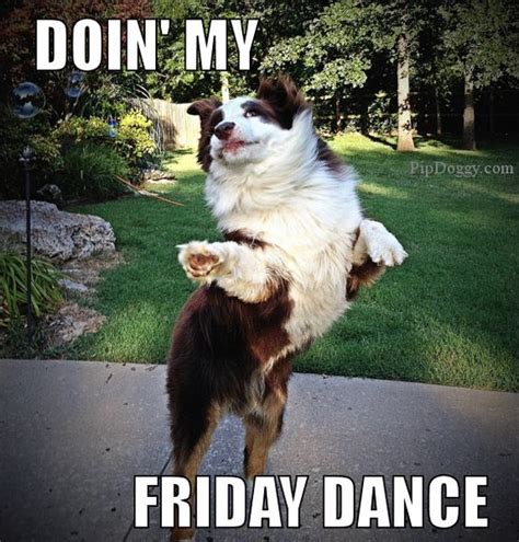 Love Your Pet Love Your Life Dogs Friday Dance