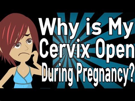 Why Is My Cervix Open During Pregnancy Youtube