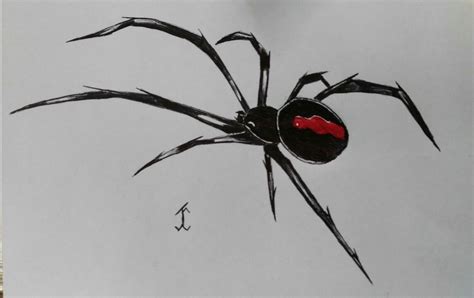 Open office drawing svg (.svg ) vector illustration graphic art design format author SpiderBlackwidow #spider #drawing #draw #pen #art #gothic ...