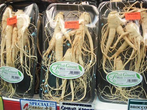 This is the best temperature to extract the ginsenosides which are the compounds responsible for the health benefits. Fresh ginseng (Susam) - Korean cooking ingredients ...