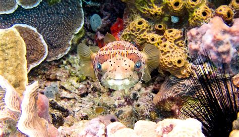 These Happy Sea Creatures Will Make You Smile Bristol Aquarium